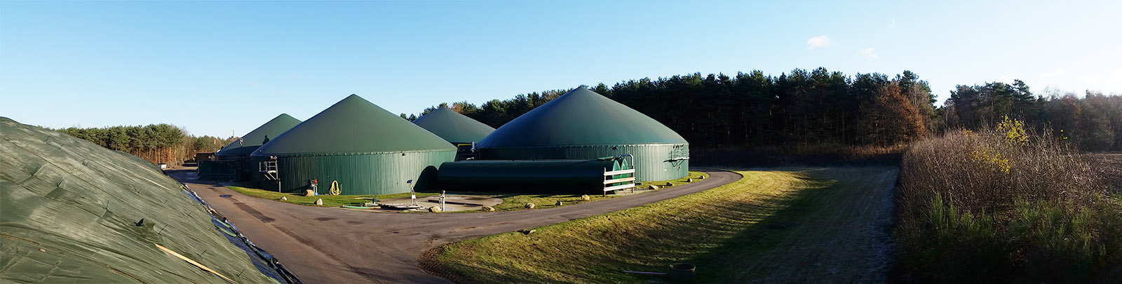 spascher-bioenergie-background